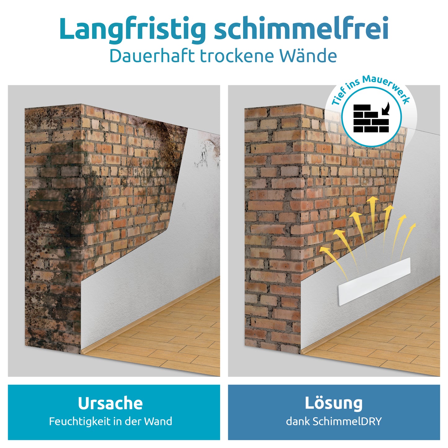 Schimmel-DRY Basismodul
